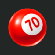 Daily Record Bingo logo