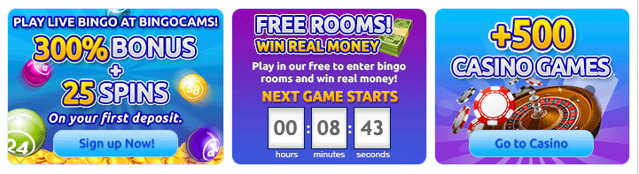 Screen Grab Of Bingo Cams Promotions