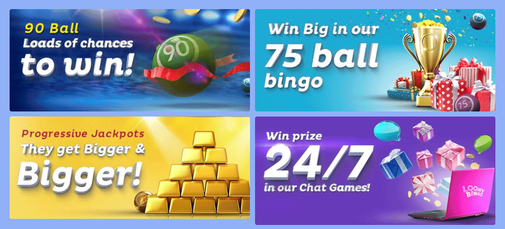 bingo games available at loony bingo