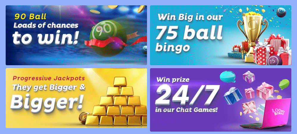 Looney bingo app free